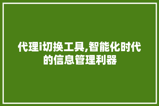 代理i切换工具,智能化时代的信息管理利器 代理i切换工具,智能化时代的信息管理利器 网站建设公司