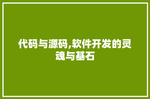代码与源码,软件开发的灵魂与基石 代码与源码,软件开发的灵魂与基石 必应SEO