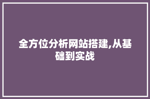 全方位分析网站搭建,从基础到实战 全方位分析网站搭建,从基础到实战 搜狗SEO