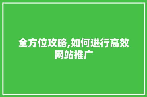 全方位攻略,如何进行高效网站推广 全方位攻略,如何进行高效网站推广 百度SEO