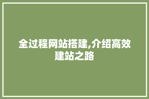 全过程网站搭建,介绍高效建站之路