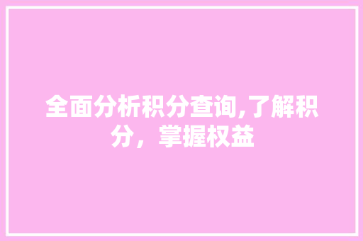 全面分析积分查询,了解积分，掌握权益 全面分析积分查询,了解积分，掌握权益 网站建设公司