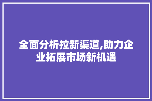 全面分析拉新渠道,助力企业拓展市场新机遇 全面分析拉新渠道,助力企业拓展市场新机遇 网站建设公司