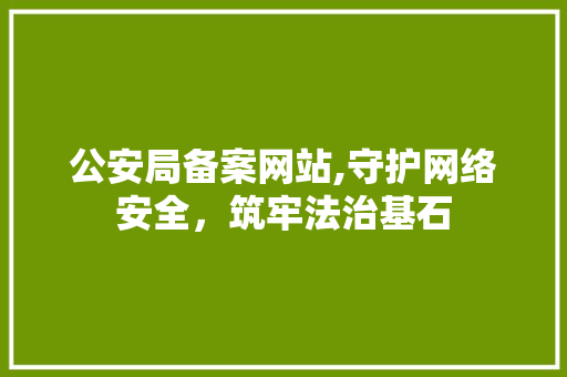 公安局备案网站,守护网络安全，筑牢法治基石 公安局备案网站,守护网络安全，筑牢法治基石 百度SEO