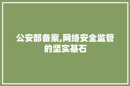 公安部备案,网络安全监管的坚实基石 公安部备案,网络安全监管的坚实基石 必应SEO