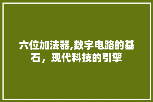 六位加法器,数字电路的基石，现代科技的引擎 六位加法器,数字电路的基石，现代科技的引擎 百度SEO