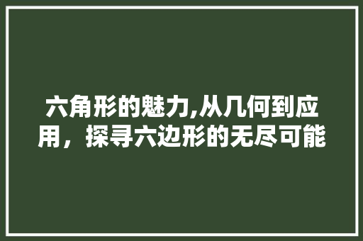 六角形的魅力,从几何到应用，探寻六边形的无尽可能 六角形的魅力,从几何到应用，探寻六边形的无尽可能 神马SEO
