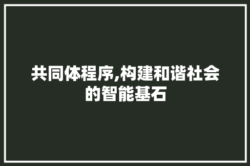 共同体程序,构建和谐社会的智能基石 共同体程序,构建和谐社会的智能基石 网站建设公司