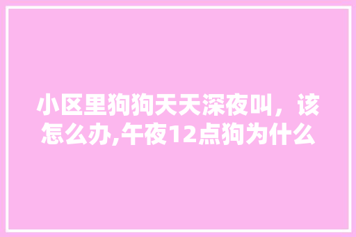 小区里狗狗天天深夜叫，该怎么办,午夜12点狗为什么会叫呢。 小区里狗狗天天深夜叫，该怎么办,午夜12点狗为什么会叫呢。 搜狗SEO