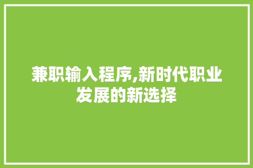 兼职输入程序,新时代职业发展的新选择 兼职输入程序,新时代职业发展的新选择 网站建设公司