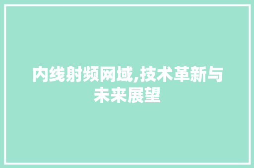 内线射频网域,技术革新与未来展望