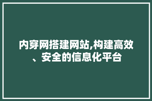 内穿网搭建网站,构建高效、安全的信息化平台 内穿网搭建网站,构建高效、安全的信息化平台 必应SEO