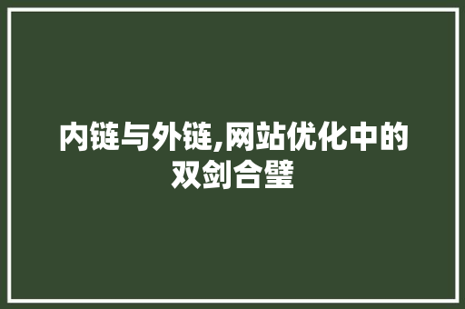 内链与外链,网站优化中的双剑合璧 内链与外链,网站优化中的双剑合璧 必应SEO