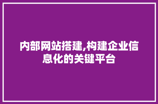 内部网站搭建,构建企业信息化的关键平台 内部网站搭建,构建企业信息化的关键平台 百度SEO