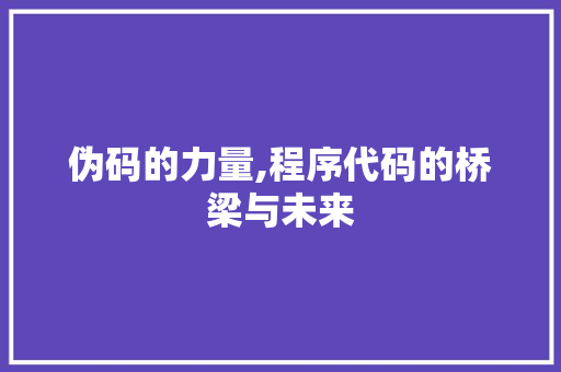 伪码的力量,程序代码的桥梁与未来 伪码的力量,程序代码的桥梁与未来 百度SEO