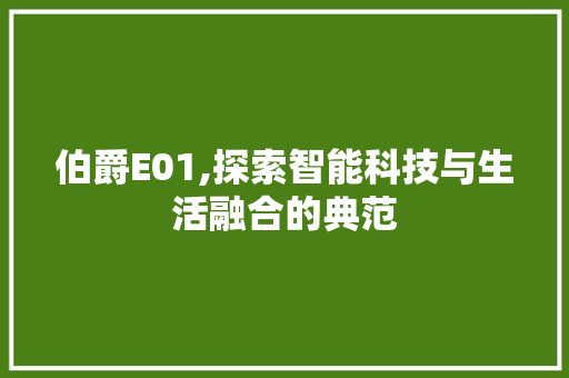伯爵E01,探索智能科技与生活融合的典范 伯爵E01,探索智能科技与生活融合的典范 必应SEO