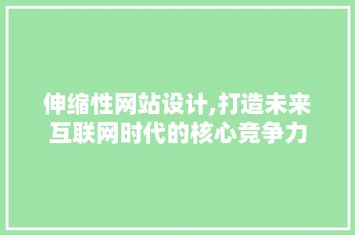 伸缩性网站设计,打造未来互联网时代的核心竞争力
