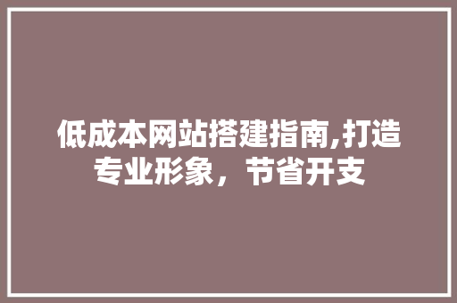 低成本网站搭建指南,打造专业形象，节省开支 低成本网站搭建指南,打造专业形象，节省开支 百度SEO