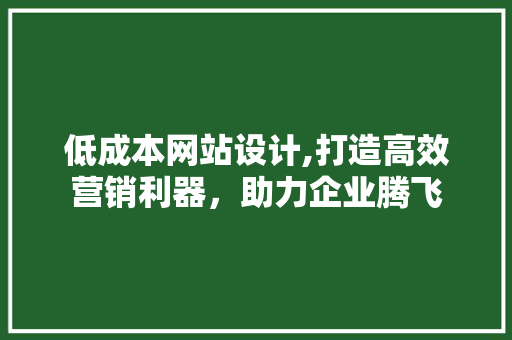 低成本网站设计,打造高效营销利器，助力企业腾飞 低成本网站设计,打造高效营销利器，助力企业腾飞 SEO关键词