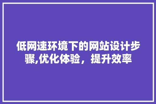 低网速环境下的网站设计步骤,优化体验，提升效率