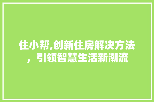 住小帮,创新住房解决方法，引领智慧生活新潮流 住小帮,创新住房解决方法，引领智慧生活新潮流 必应SEO