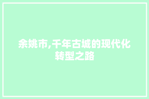 余姚市,千年古城的现代化转型之路 余姚市,千年古城的现代化转型之路 网站建设公司