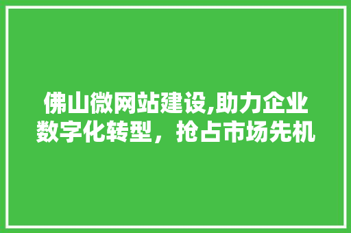 佛山微网站建设,助力企业数字化转型，抢占市场先机 佛山微网站建设,助力企业数字化转型，抢占市场先机 百度SEO