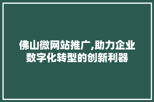 佛山微网站推广,助力企业数字化转型的创新利器 佛山微网站推广,助力企业数字化转型的创新利器 网站建设公司