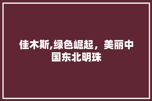 佳木斯,绿色崛起，美丽中国东北明珠 百度SEO