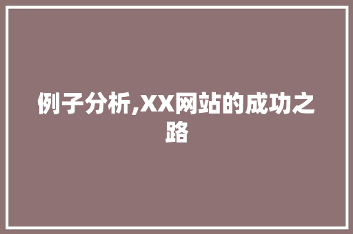 例子分析,XX网站的成功之路 例子分析,XX网站的成功之路 网站建设公司