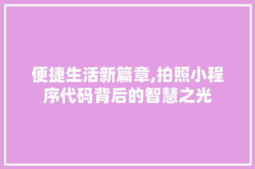 便捷生活新篇章,拍照小程序代码背后的智慧之光