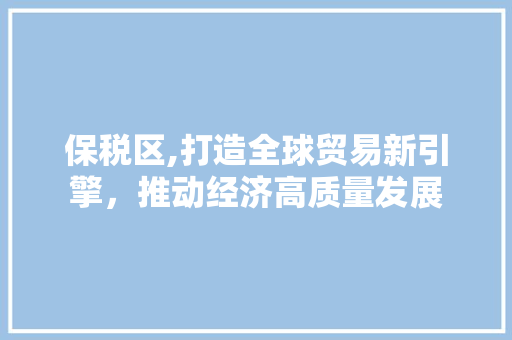 保税区,打造全球贸易新引擎，推动经济高质量发展