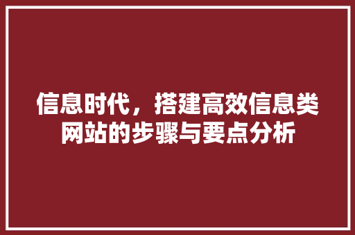 信息时代，搭建高效信息类网站的步骤与要点分析 信息时代，搭建高效信息类网站的步骤与要点分析 SEO关键词