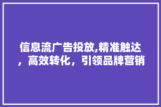 信息流广告投放,精准触达，高效转化，引领品牌营销新潮流