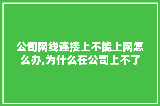 公司网线连接上不能上网怎么办,为什么在公司上不了网了。 公司网线连接上不能上网怎么办,为什么在公司上不了网了。 必应SEO