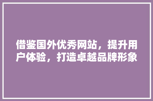 借鉴国外优秀网站，提升用户体验，打造卓越品牌形象 借鉴国外优秀网站，提升用户体验，打造卓越品牌形象 网站建设公司