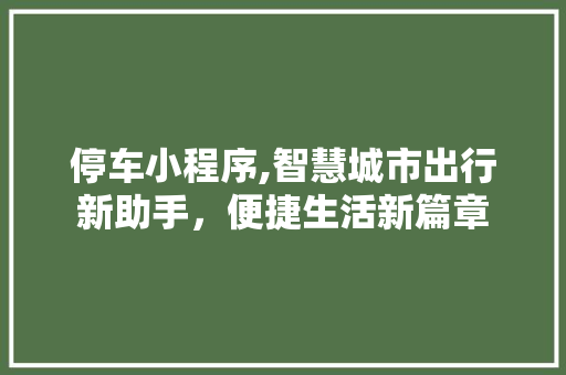 停车小程序,智慧城市出行新助手，便捷生活新篇章