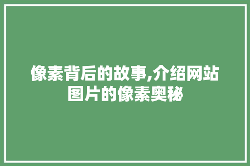 像素背后的故事,介绍网站图片的像素奥秘 像素背后的故事,介绍网站图片的像素奥秘 百度SEO