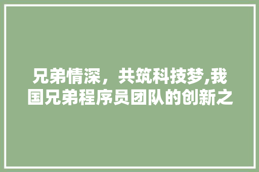 兄弟情深，共筑科技梦,我国兄弟程序员团队的创新之路 兄弟情深，共筑科技梦,我国兄弟程序员团队的创新之路 必应SEO