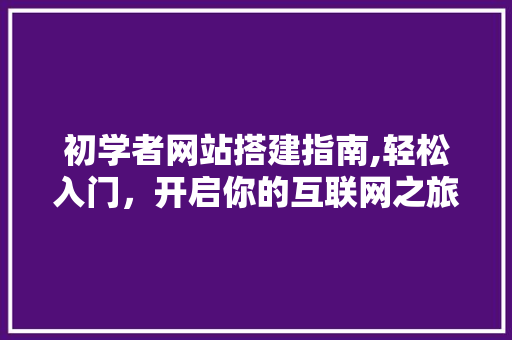 初学者网站搭建指南,轻松入门，开启你的互联网之旅 初学者网站搭建指南,轻松入门，开启你的互联网之旅 百度SEO