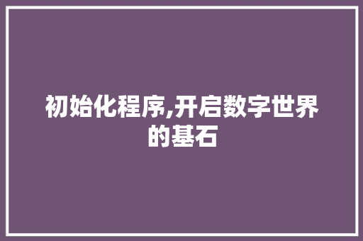 初始化程序,开启数字世界的基石 初始化程序,开启数字世界的基石 百度SEO