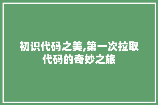 初识代码之美,第一次拉取代码的奇妙之旅 初识代码之美,第一次拉取代码的奇妙之旅 必应SEO