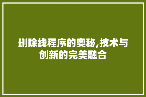 删除线程序的奥秘,技术与创新的完美融合 删除线程序的奥秘,技术与创新的完美融合 神马SEO