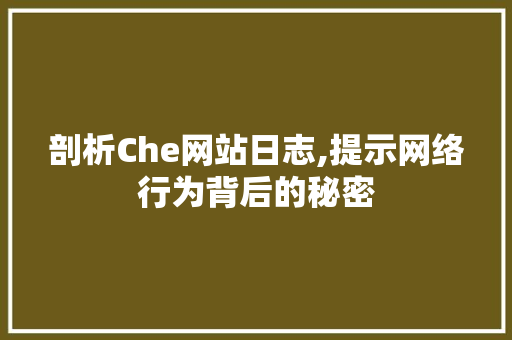 剖析Che网站日志,提示网络行为背后的秘密 剖析Che网站日志,提示网络行为背后的秘密 必应SEO