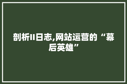 剖析II日志,网站运营的“幕后英雄” 剖析II日志,网站运营的“幕后英雄” 神马SEO