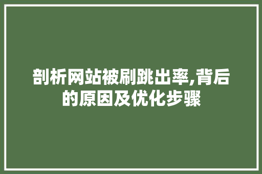 剖析网站被刷跳出率,背后的原因及优化步骤