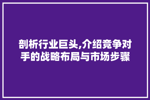 剖析行业巨头,介绍竞争对手的战略布局与市场步骤