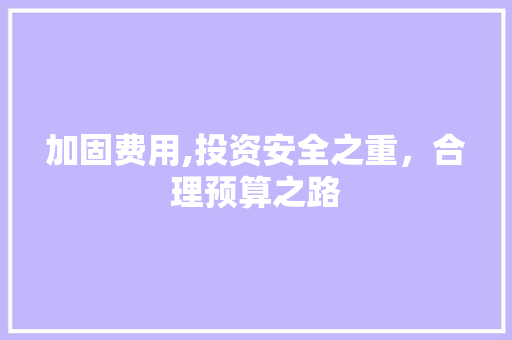 加固费用,投资安全之重，合理预算之路