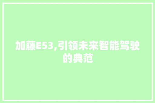 加藤E53,引领未来智能驾驶的典范 加藤E53,引领未来智能驾驶的典范 SEO关键词