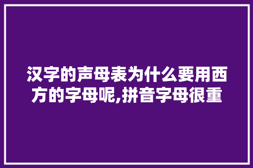 汉字的声母表为什么要用西方的字母呢,拼音字母很重要为什么呢。 汉字的声母表为什么要用西方的字母呢,拼音字母很重要为什么呢。 网站建设公司